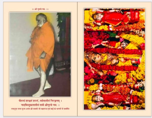 श्री पीतांबरा पीठ पुस्तक - Image 2